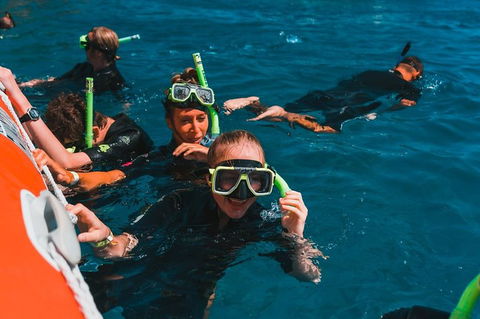 Whitehaven Beach And Hill Inlet Lookout Full-Day Snorkeling Cruise By High-Speed Catamaran - Sydney 4u 3