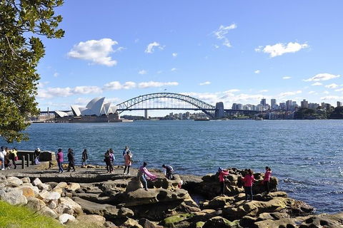 Sydney Sightseeing Bus Tours - Accommodation Sydney 2
