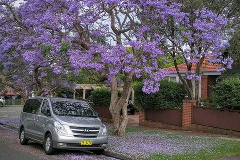 Sydney Secrets & Bondi Beach Private 4 Hr Morning With Personalised Sydney Tours - Accommodation Sydney 0