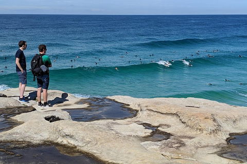 Sydney Secrets & Bondi Beach Private 4 Hr Morning With Personalised Sydney Tours - Accommodation Sydney 2