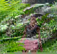 Full-Day Guided Hinterland Adventure Tour in Queensland - Accommodation Sydney