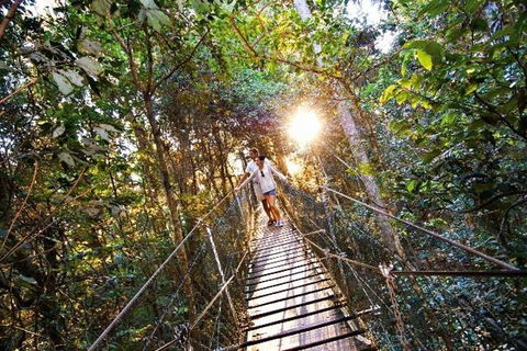 O'Reilly's & Lamington National Park From Brisbane - Sydney 4u 5