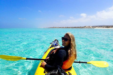 Lagoon Explorer - Ningaloo Reef Full-Day Kayaking And Snorkeling Adventure - Sydney 4u 1