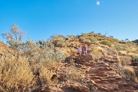 Kings Canyon Guided Rim Walk - Sydney 4u 1