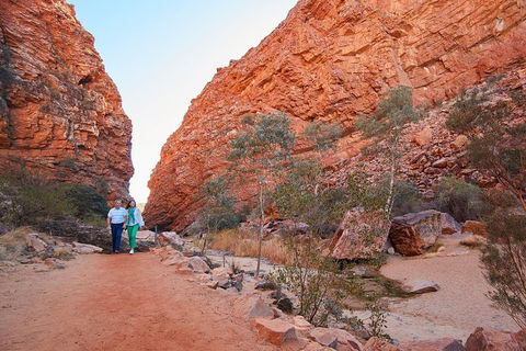Best Of Alice Springs Full Day Tour - Accommodation Sydney 1