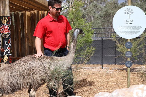 Blue Mountains Nature And Wildlife Day Tour From Sydney - Accommodation Sydney 5