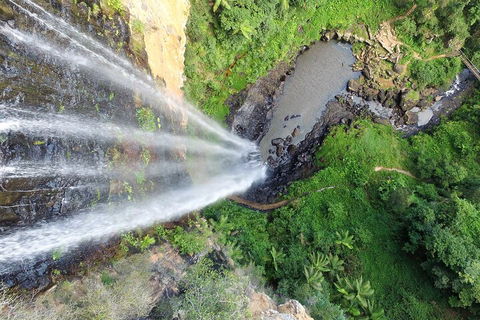 Natural Bridge & Springbrook Waterfalls Tour + Hot Air Balloon With Breakfast - Sydney 4u 1