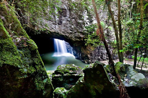 Natural Bridge & Springbrook Waterfalls Tour + Hot Air Balloon With Breakfast - Sydney 4u 4