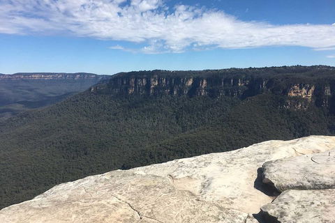 The Explorers' Discovery Tour - Gold, Wine & Wildlife - Sydney 4u 1