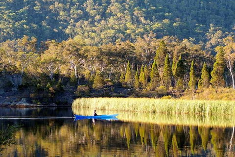 The Explorers' Discovery Tour - Gold, Wine & Wildlife - Sydney 4u 2