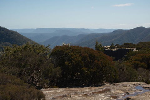 The Explorers' Discovery Tour - Gold, Wine & Wildlife - Sydney 4u 3