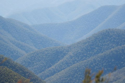 From The Mountains To The Bay - 4 Day Rediscovery Private Tour - Sydney 4u 1