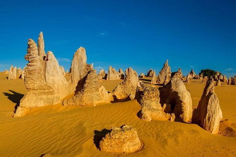 Pinnacle Desert Sunset And Stargazing With Dinner - Accommodation Sydney 3