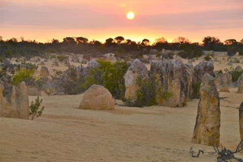Pinnacle Desert Sunset And Stargazing With Dinner - Accommodation Sydney 5