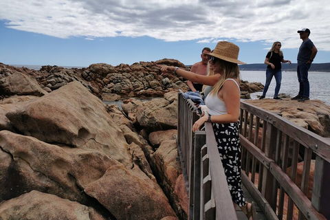 Margaret River Impression Day Tour From Perth - Sydney 4u 4