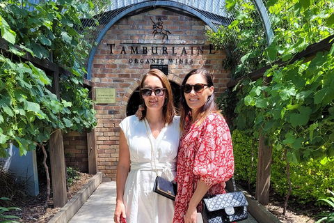 Hideaway Private Tours Hunter Valley- Indulgence Wine Tour (Full Day) - Accommodation Sydney 5