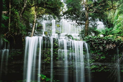 Mt Field National Park And Russell Falls From Hobart - Accommodation Sydney 0