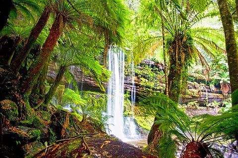 Mt Field National Park And Russell Falls From Hobart - Accommodation Sydney 4