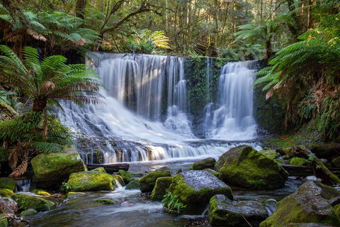 Mt Field National Park And Russell Falls From Hobart - Accommodation Sydney 5