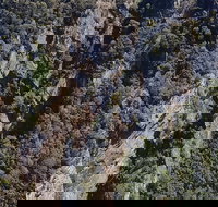 Leven Canyon Day Trip Including Wings Wildlife Park or Gunns Plains Caves - Sydney Resort