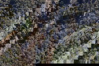 Leven Canyon Day Trip Including Wings Wildlife Park or Gunns Plains Caves, Launceston