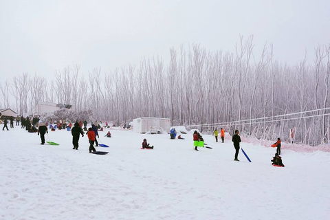 Private Mount Buller Snow And Ski Tour From Melbourne - Accommodation Sydney 1