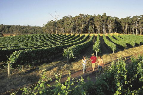 Margaret River, Caves, Wine And Cape Leeuwin Lighthouse Tour From Perth - Sydney 4u 1