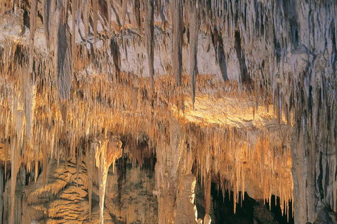Margaret River, Caves, Wine And Cape Leeuwin Lighthouse Tour From Perth - Sydney 4u 3