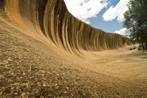 Wave Rock, York, Wildflowers, And Aboriginal Cultural Day Tour From Perth - Sydney 4u 0