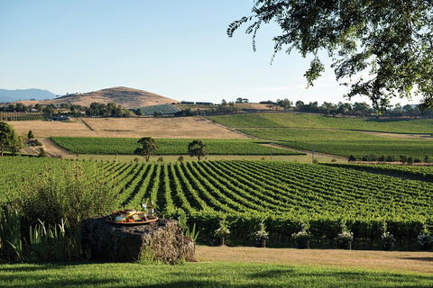 Small Group 6 Guests: Ultimate Yarra Valley Food And Wine - Mercedes Van - Sydney 4u 4