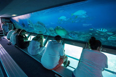 Great Barrier Reef Day Cruise To Reefworld - Sydney 4u 0