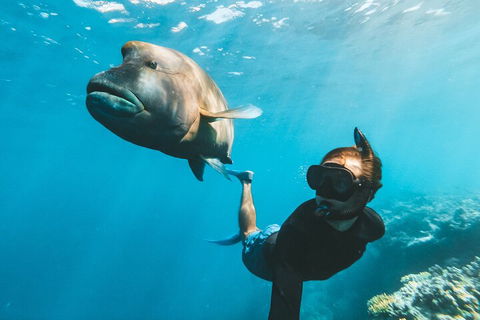 Great Barrier Reef Day Cruise To Reefworld - Sydney 4u 3