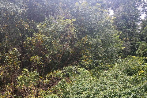 Historic Village Herberton And Tableland Tour - Accommodation Sydney 4