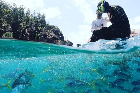 2 Night Small Group Whitsundays Sailing Adventure Aboard Mandrake - Sydney 4u 5