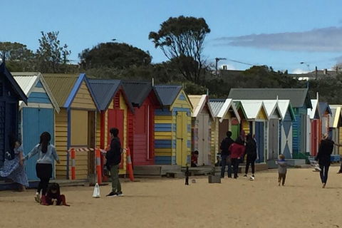Private Half Day Melbourne City Tour With Local Guide - Sydney 4u 2