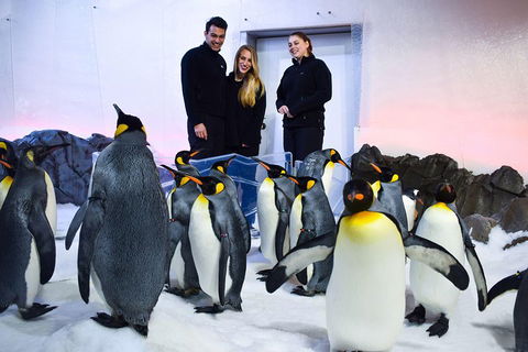Penguin Passport At SEA LIFE Melbourne Aquarium - Accommodation Sydney 4