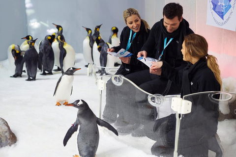 Penguin Passport At SEA LIFE Melbourne Aquarium - Accommodation Sydney 5