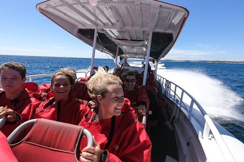 Adventure Rottnest Tour With Ferry & Adventure Cruise From Perth Or Fremantle - Sydney 4u 0