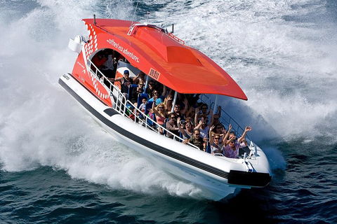 Adventure Rottnest Tour With Ferry & Adventure Cruise From Perth Or Fremantle - Sydney 4u 2