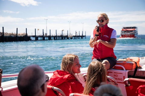 Adventure Rottnest Tour With Ferry & Adventure Cruise From Perth Or Fremantle - Sydney 4u 4