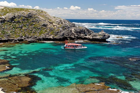 Adventure Rottnest Tour With Ferry & Adventure Cruise From Perth Or Fremantle - Sydney 4u 5
