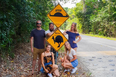Cape Tribulation, Daintree Rainforest And Wildlife Tour - Sydney 4u 0