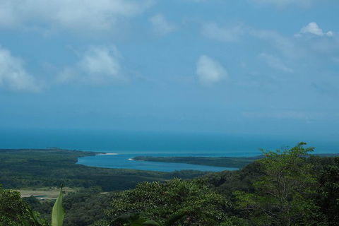 Cape Tribulation, Daintree Rainforest And Wildlife Tour - Sydney 4u 1