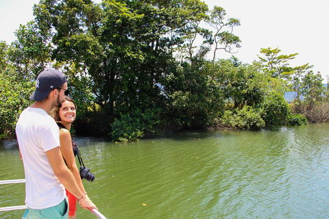 Cape Tribulation, Daintree Rainforest And Wildlife Tour - Sydney 4u 2