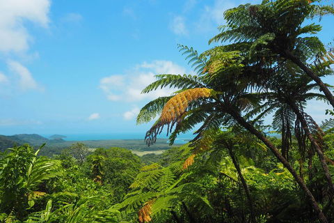 Cape Tribulation, Daintree Rainforest And Wildlife Tour - Sydney 4u 3