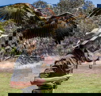 One Day Kangaroo Island Sip  See tour with return ferry transfers from Adelaide - Accommodation Sydney