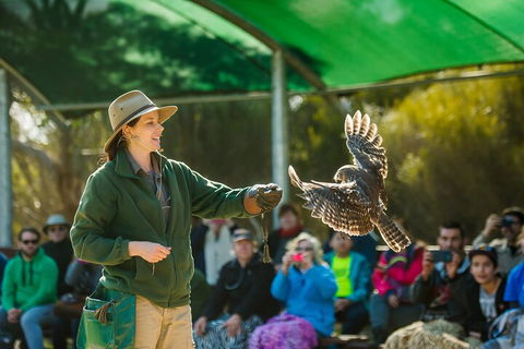 Full Day Kangaroo Island Sip And See Tour Departing From Kangaroo Island - Accommodation Sydney 1