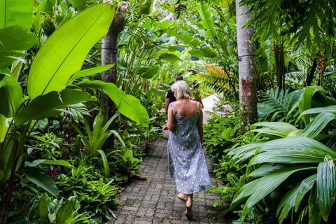 Cairns City Sights And Surrounds Tour - Accommodation Sydney 2