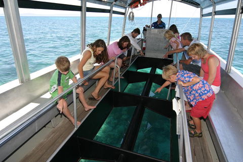 Cairns City Sights And Surrounds Tour - Accommodation Sydney 5