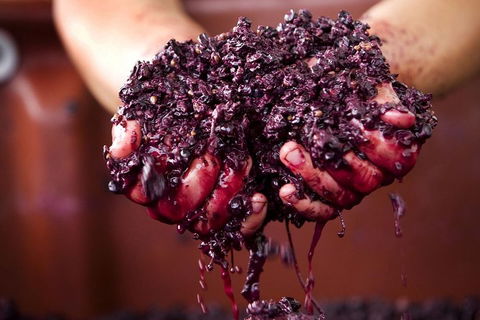 CHEVY CONVERTIBLE Package For 4 -Wine Lunch Cheese & Chocolate From Yarra Valley - Accommodation Sydney 5